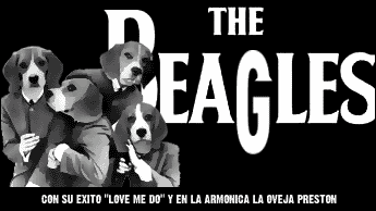 beagles.gif